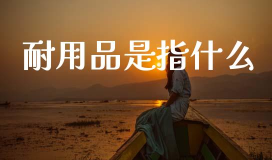 耐用品是指什么_https://cj004.lansai.wang_财经新闻_第1张