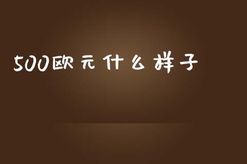 500欧元什么样子_https://cj004.lansai.wang_外汇交易_第1张