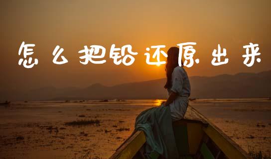 怎么把铅还原出来_https://cj004.lansai.wang_债券资讯_第1张