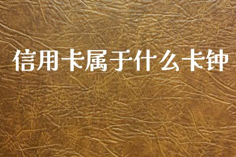 信用卡属于什么卡钟_https://cj004.lansai.wang_期货开户_第1张