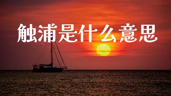 触浦是什么意思_https://cj004.lansai.wang_债券资讯_第1张