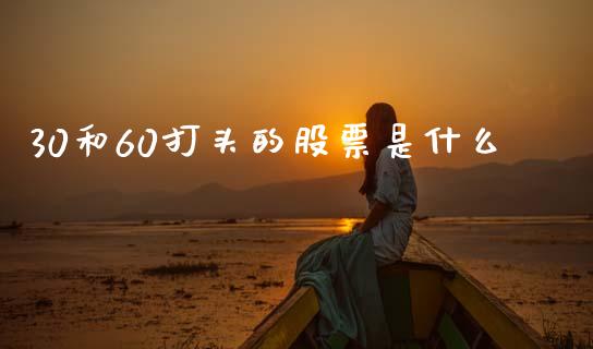 30和60打头的股票是什么_https://cj004.lansai.wang_全球市场_第1张