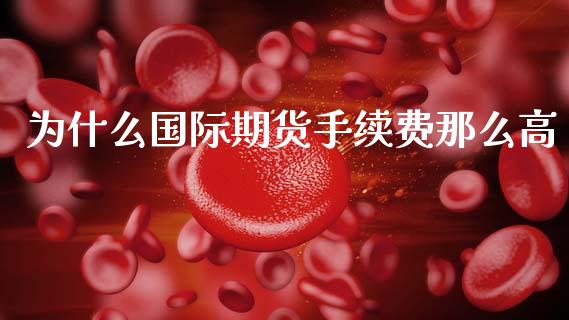 为什么国际期货手续费那么高_https://cj004.lansai.wang_财经新闻_第1张