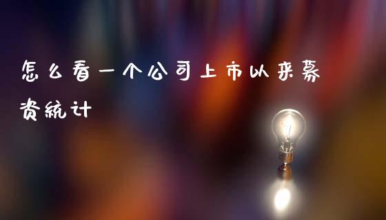 怎么看一个公司上市以来募资统计_https://cj004.lansai.wang_债券资讯_第1张