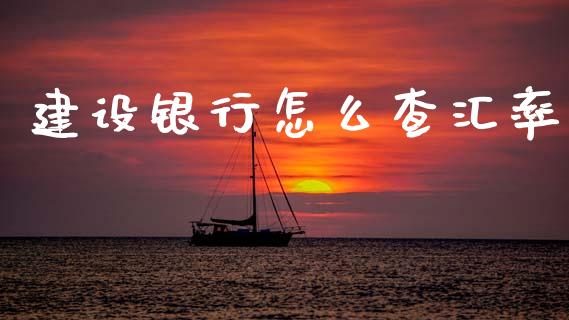 建设银行怎么查汇率_https://cj004.lansai.wang_期货开户_第1张