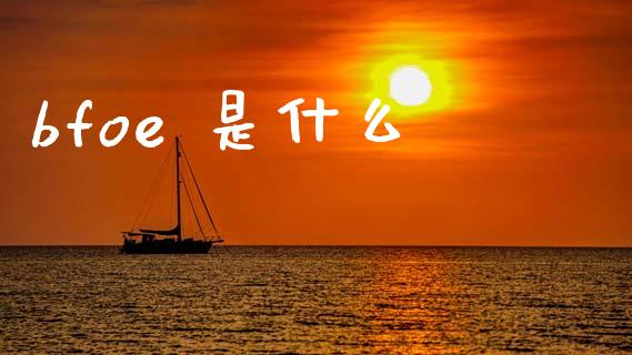 bfoe 是什么_https://cj004.lansai.wang_财经新闻_第1张