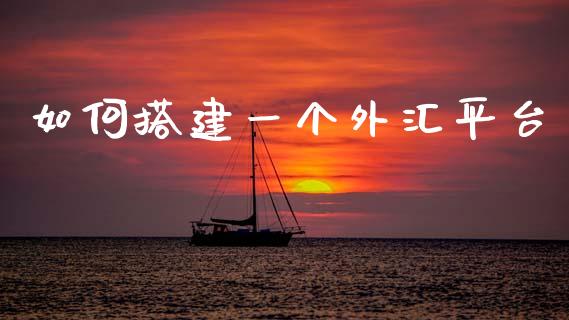 如何搭建一个外汇平台_https://cj004.lansai.wang_期货开户_第1张