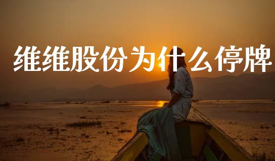 维维股份为什么停牌_https://cj004.lansai.wang_金融监管_第1张