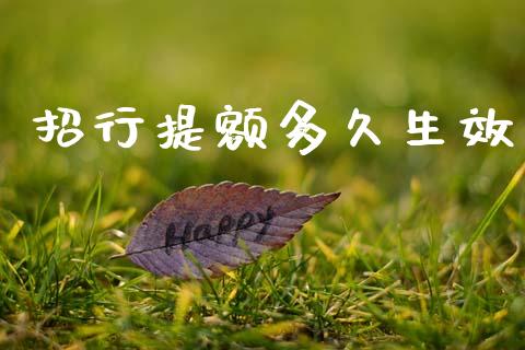 招行提额多久生效_https://cj004.lansai.wang_财经新闻_第1张
