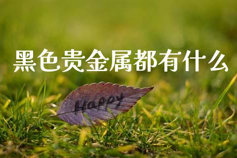 黑色贵金属都有什么_https://cj004.lansai.wang_外汇交易_第1张