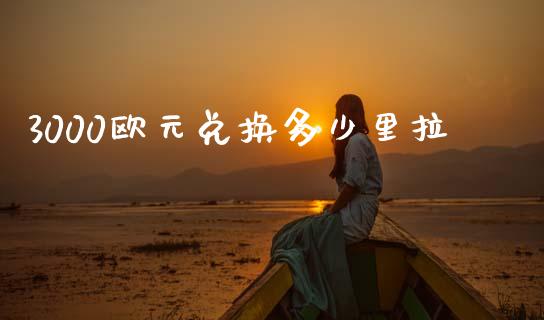 3000欧元兑换多少里拉_https://cj004.lansai.wang_金融监管_第1张