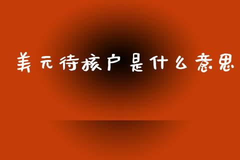 美元待核户是什么意思_https://cj004.lansai.wang_金融监管_第1张
