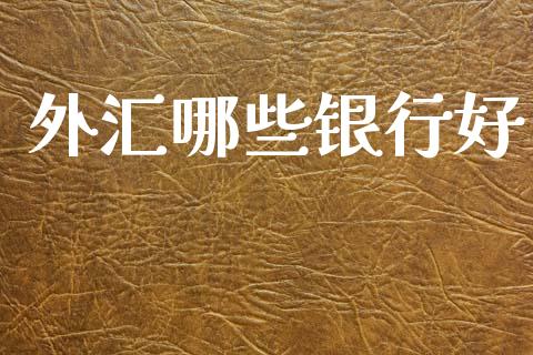 外汇哪些银行好_https://cj004.lansai.wang_债券资讯_第1张