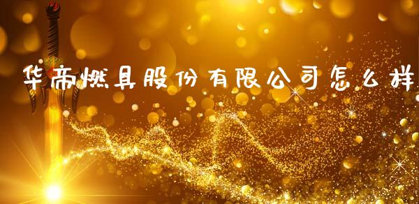 华帝燃具股份有限公司怎么样_https://cj004.lansai.wang_金融监管_第1张
