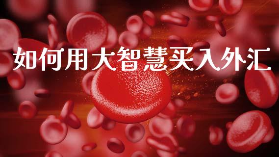 如何用大智慧买入外汇_https://cj004.lansai.wang_财经新闻_第1张