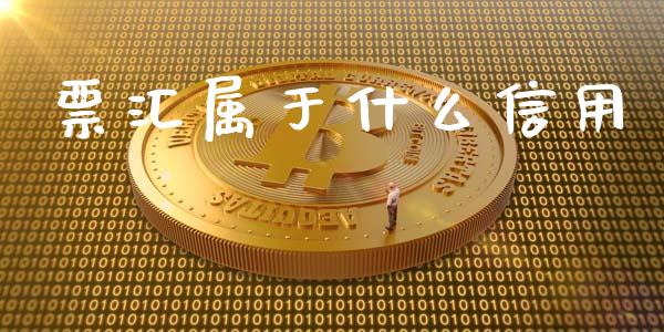 票汇属于什么信用_https://cj004.lansai.wang_金融监管_第1张