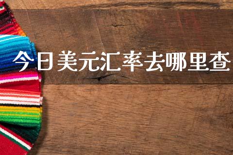 今日美元汇率去哪里查_https://cj004.lansai.wang_金融监管_第1张