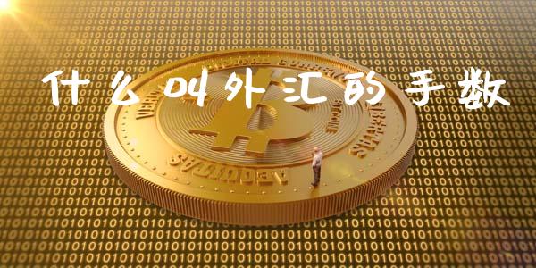 什么叫外汇的手数_https://cj004.lansai.wang_全球市场_第1张