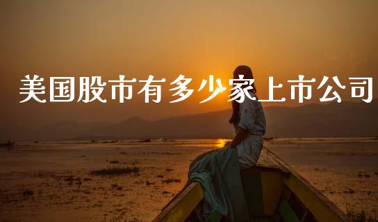 美国股市有多少家上市公司_https://cj004.lansai.wang_全球市场_第1张