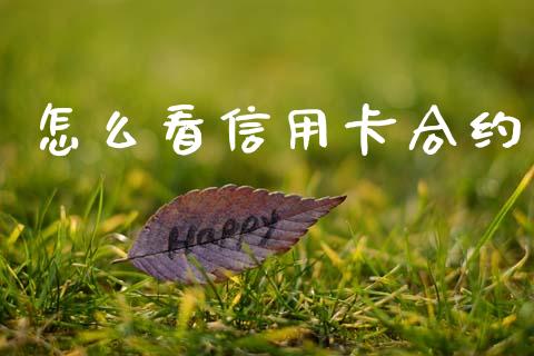 怎么看信用卡合约_https://cj004.lansai.wang_金融监管_第1张