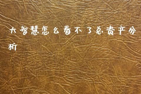 大智慧怎么看不了总资产分析_https://cj004.lansai.wang_期货开户_第1张