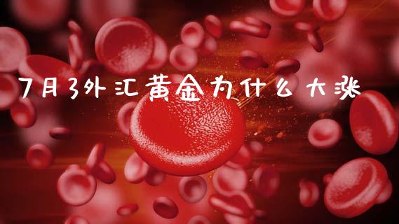 7月3外汇黄金为什么大涨_https://cj004.lansai.wang_财经新闻_第1张