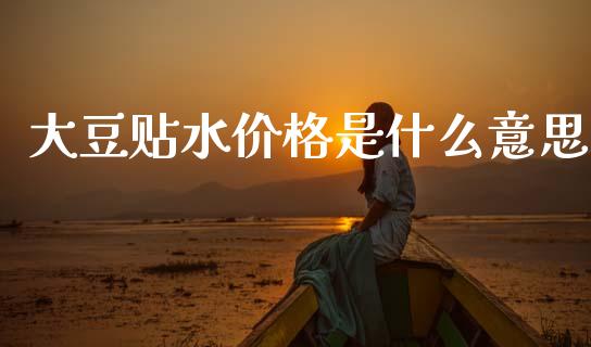 大豆贴水价格是什么意思_https://cj004.lansai.wang_金融监管_第1张
