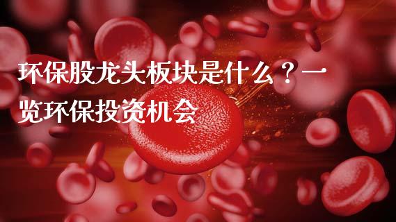 环保股龙头板块是什么？一览环保投资机会_https://cj004.lansai.wang_期货开户_第1张