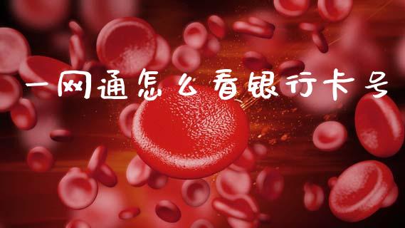 一网通怎么看银行卡号_https://cj004.lansai.wang_外汇交易_第1张