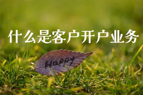 什么是客户开户业务_https://cj004.lansai.wang_外汇交易_第1张