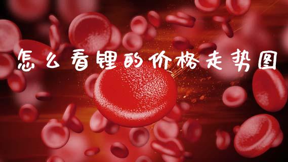 怎么看锂的价格走势图_https://cj004.lansai.wang_期货开户_第1张