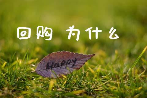 回购 为什么_https://cj004.lansai.wang_金融监管_第1张