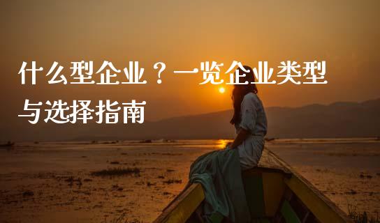 什么型企业？一览企业类型与选择指南_https://cj004.lansai.wang_金融监管_第1张