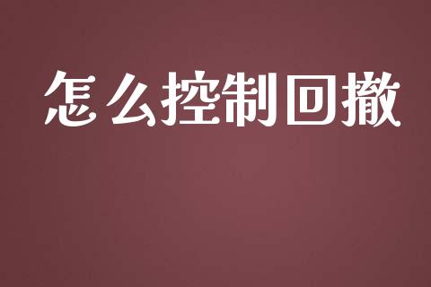 怎么控制回撤_https://cj004.lansai.wang_全球市场_第1张