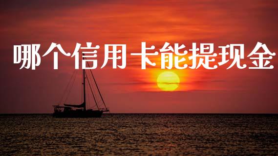 哪个信用卡能提现金_https://cj004.lansai.wang_债券资讯_第1张