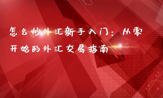怎么炒外汇新手入门：从零开始的外汇交易指南_https://cj004.lansai.wang_债券资讯_第1张