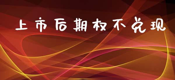 上市后期权不兑现_https://cj004.lansai.wang_财经新闻_第1张