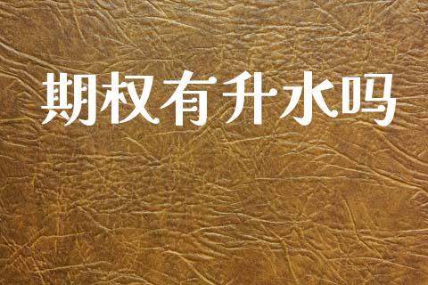 期权有升水吗_https://cj004.lansai.wang_期货开户_第1张
