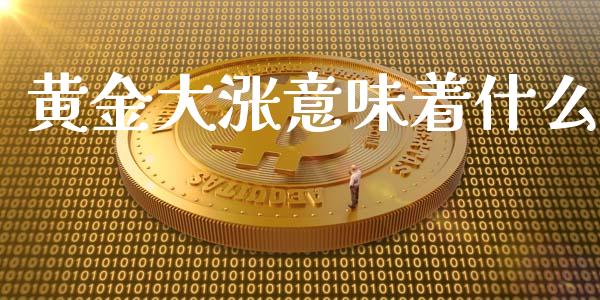 黄金大涨意味着什么_https://cj004.lansai.wang_期货开户_第1张