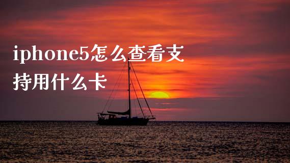 iphone5怎么查看支持用什么卡_https://cj004.lansai.wang_债券资讯_第1张
