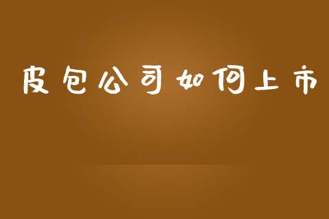 皮包公司如何上市_https://cj004.lansai.wang_全球市场_第1张
