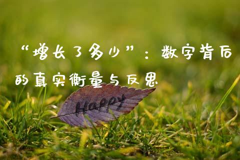 “增长了多少”：数字背后的真实衡量与反思_https://cj004.lansai.wang_债券资讯_第1张