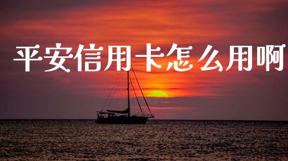 平安信用卡怎么用啊_https://cj004.lansai.wang_债券资讯_第1张