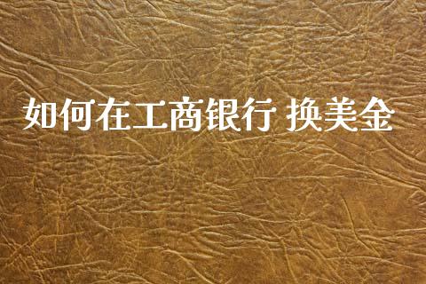 如何在工商银行 换美金_https://cj004.lansai.wang_财经新闻_第1张