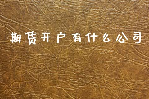 期货开户有什么公司_https://cj004.lansai.wang_金融监管_第1张
