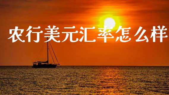 农行美元汇率怎么样_https://cj004.lansai.wang_全球市场_第1张