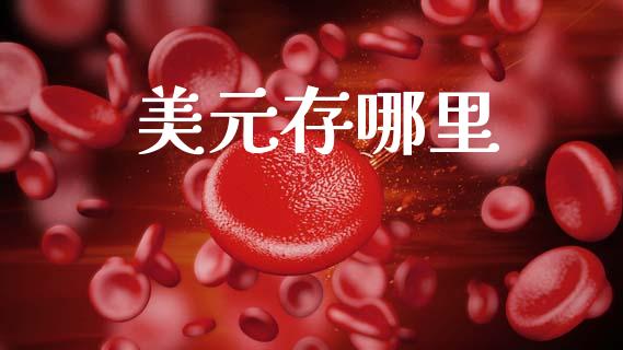 美元存哪里_金融监管_第1张_期货开户_金融监管_外汇交易_债券资讯_全球市场_财经新闻 美元存哪里_https://cj004.lansai.wang_金融监管_第1张