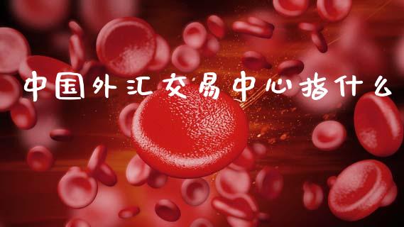 中国外汇交易中心指什么_https://cj004.lansai.wang_财经新闻_第1张