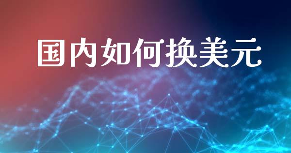 国内如何换美元_https://cj004.lansai.wang_债券资讯_第1张