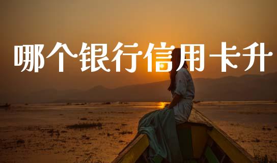 哪个银行信用卡升_https://cj004.lansai.wang_金融监管_第1张